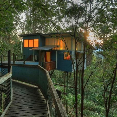 Lyola Pavilions In The Forest Maleny Eksteriør bilde