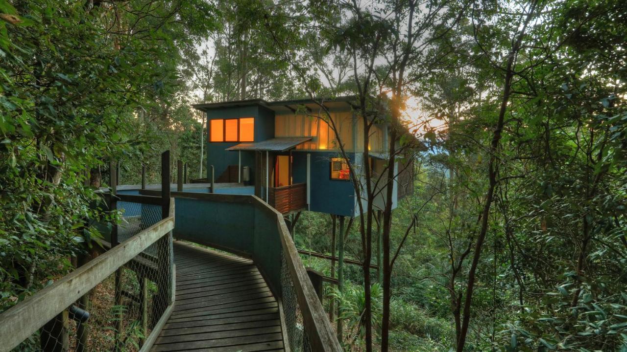 Lyola Pavilions In The Forest Maleny Eksteriør bilde