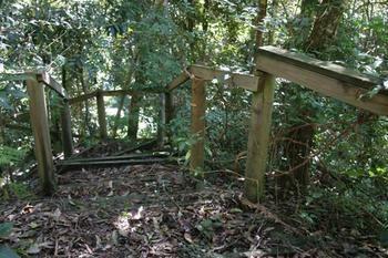 Lyola Pavilions In The Forest Maleny Eksteriør bilde