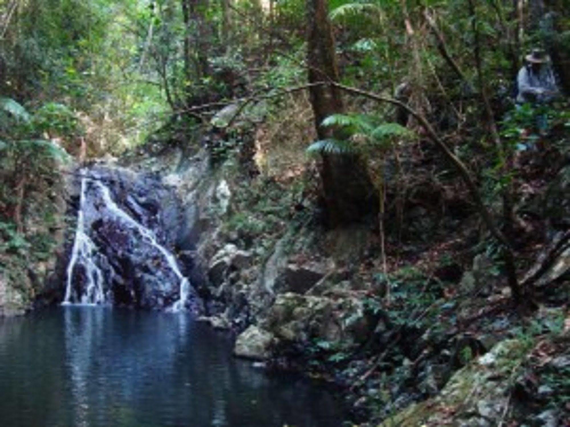 Lyola Pavilions In The Forest Maleny Eksteriør bilde